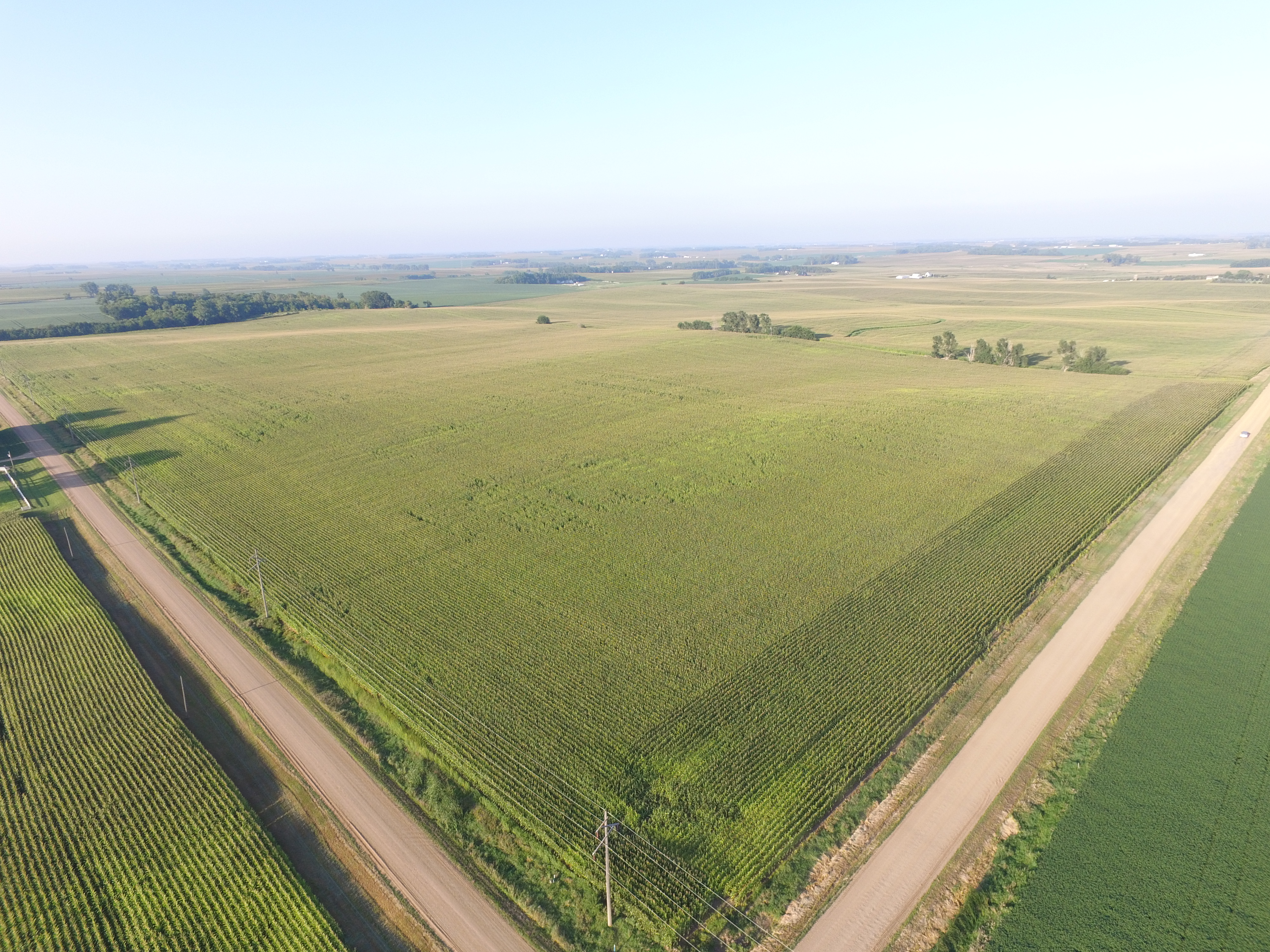 80 Acres Tillable — Benton Township
